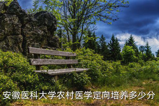 安徽醫科大學農村醫學定向培養多少分