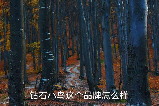 鉆石小鳥這個(gè)品牌怎么樣