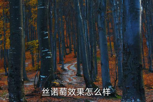 絲諾萄效果怎么樣