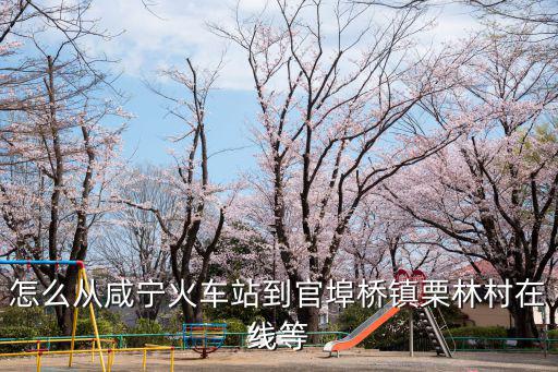 怎么從咸寧火車站到官埠橋鎮栗林村在線等