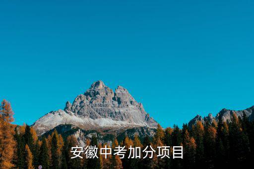 安徽中考加分項目