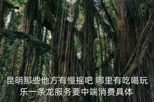 昆明那些地方有慢搖吧 哪里有吃喝玩樂一條龍服務要中端消費具體