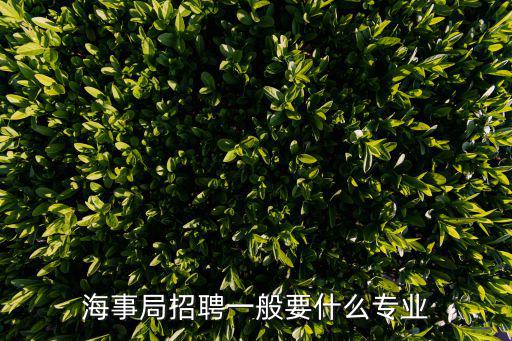 海事局招聘一般要什么專業(yè)