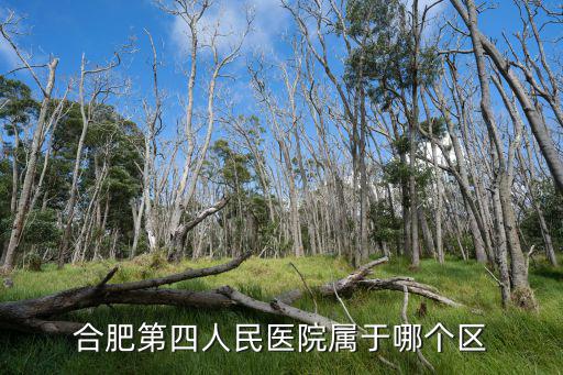 合肥四院，合肥第四人民醫院屬于哪個區