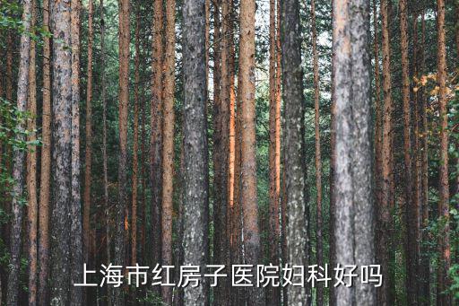 上海市紅房子醫院婦科好嗎