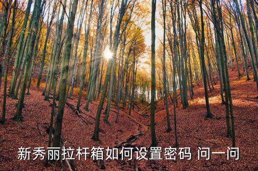 新秀麗拉桿箱如何設(shè)置密碼 問一問
