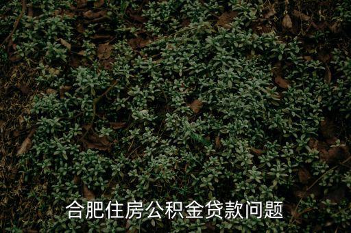 合肥住房公積金貸款問題