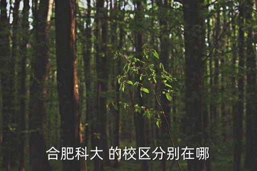 合肥科大 的校區分別在哪