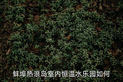蚌埠水上樂園，蚌埠熱浪島室內恒溫水樂園如何