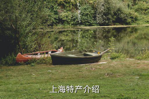 上海特產介紹