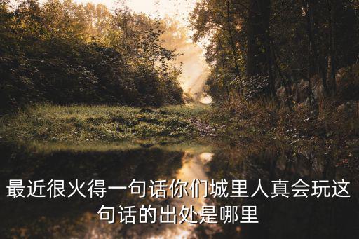 最近很火得一句話你們城里人真會玩這句話的出處是哪里