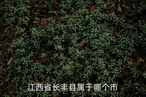 江西省長(zhǎng)豐縣屬于哪個(gè)市