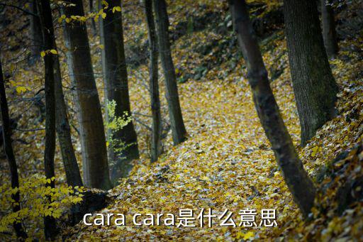 cara cara是什么意思