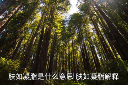 膚如凝脂是什么意思 膚如凝脂解釋