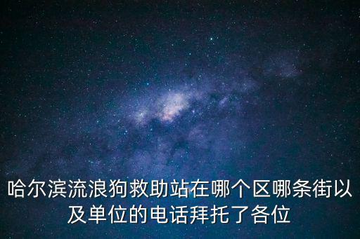 流浪狗救助站聯系方式，流浪狗救助站