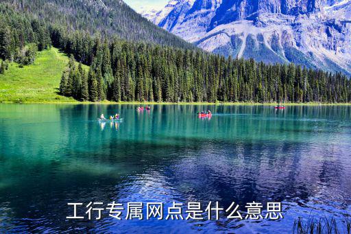 工行專屬網(wǎng)點是什么意思