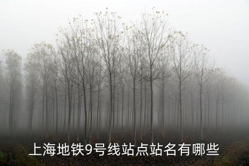 上海地鐵9號線站點站名有哪些