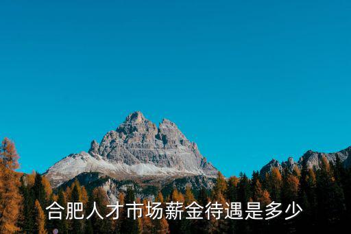 合肥人才市場(chǎng)薪金待遇是多少