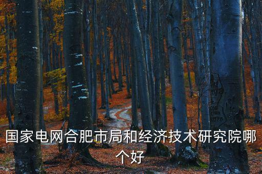 國家電網合肥市局和經濟技術研究院哪個好