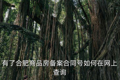 有了合肥商品房備案合同號如何在網上查詢