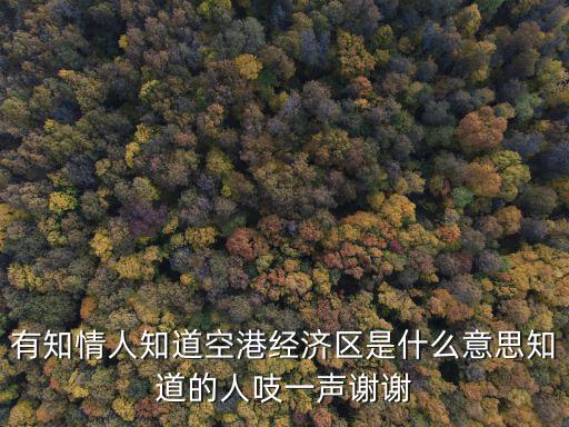 有知情人知道空港經濟區是什么意思知道的人吱一聲謝謝