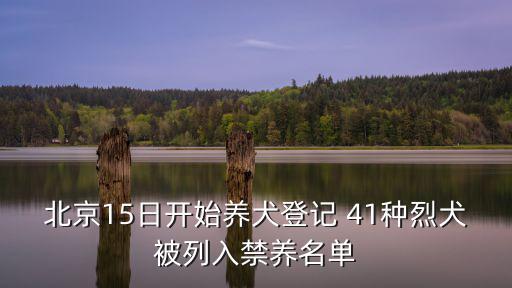 北京15日開始養(yǎng)犬登記 41種烈犬被列入禁養(yǎng)名單