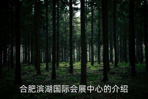合肥會展中心，合肥市濱湖新區(qū)廬州大道與錦繡大道交口西南角的 合肥新會展中心在