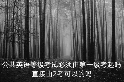 公共英語等級考試必須由第一級考起嗎直接由2考可以的嗎