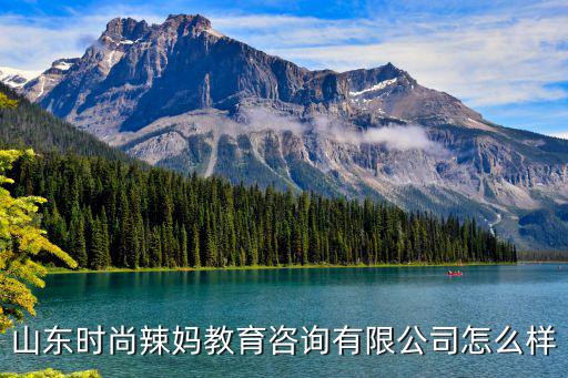 山東時尚辣媽教育咨詢有限公司怎么樣