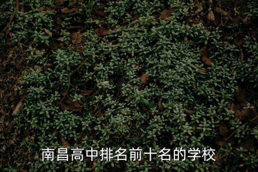 南昌高中排名前十名的學校