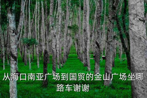 從海口南亞廣場(chǎng)到國(guó)貿(mào)的金山廣場(chǎng)坐哪路車謝謝