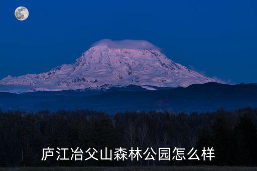 廬江冶父山森林公園怎么樣