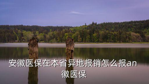 安徽醫保在本省異地報銷怎么報an 徽醫保