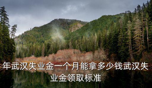 年武漢失業金一個月能拿多少錢武漢失業金領取標準