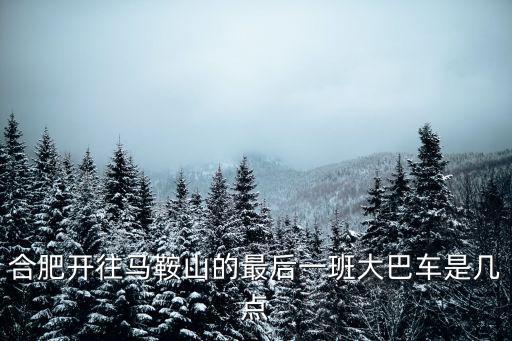 合肥開(kāi)往馬鞍山的最后一班大巴車(chē)是幾點(diǎn)