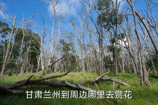 甘肅蘭州到周邊哪里去賞花