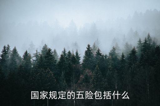 國家規(guī)定的五險包括什么