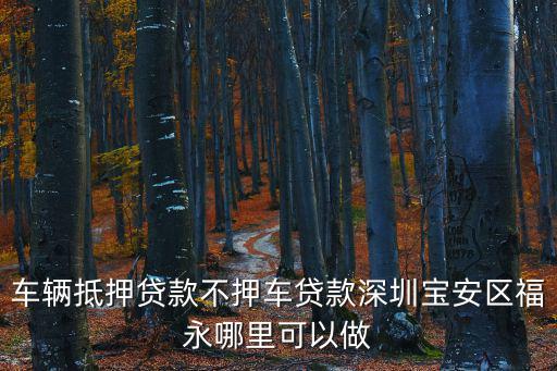 深圳汽車抵押貸款，我在深圳請問福田上下沙這邊可以辦理汽車抵押貸款嗎辦理時間需