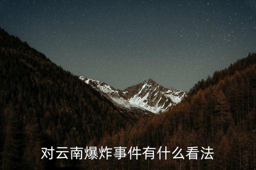 對云南爆炸事件有什么看法