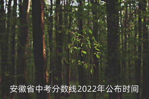 安徽中考分數線，安徽中考錄取分數線2022