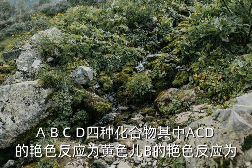 A B C D四種化合物其中ACD的艷色反應(yīng)為黃色兒B的艷色反應(yīng)為