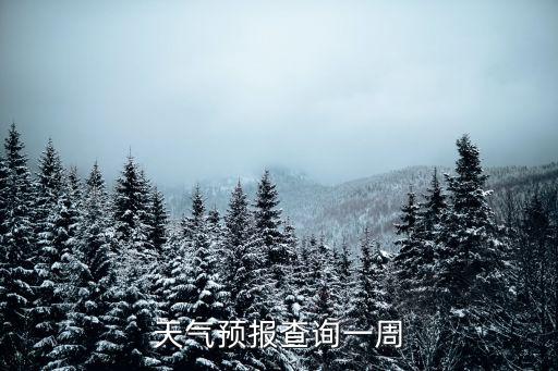 天氣預(yù)報查詢一周
