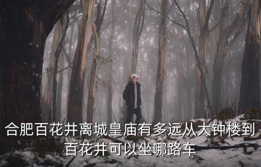 合肥百花井離城皇廟有多遠(yuǎn)從大鐘樓到百花井可以坐哪路車