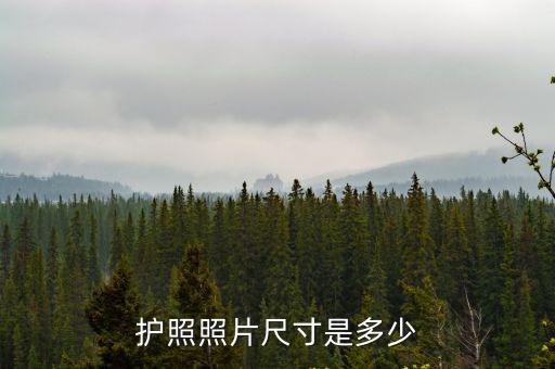 中國護照照片尺寸，護照照片尺寸是多少