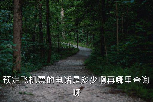 預定飛機票的電話是多少啊再哪里查詢呀