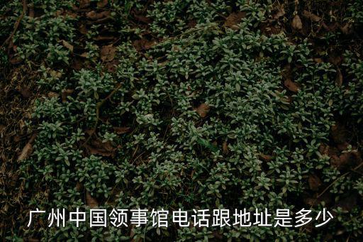 廣州中國領事館電話跟地址是多少
