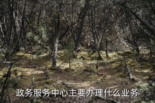 行政服務中心，行政服務中心是干嘛的