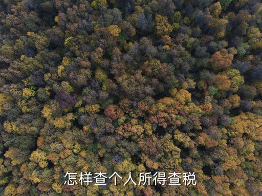 查稅，查稅的是什么部門
