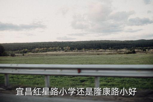 宜昌紅星路小學(xué)還是隆康路小好