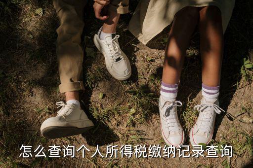 怎么查詢個人所得稅繳納記錄查詢